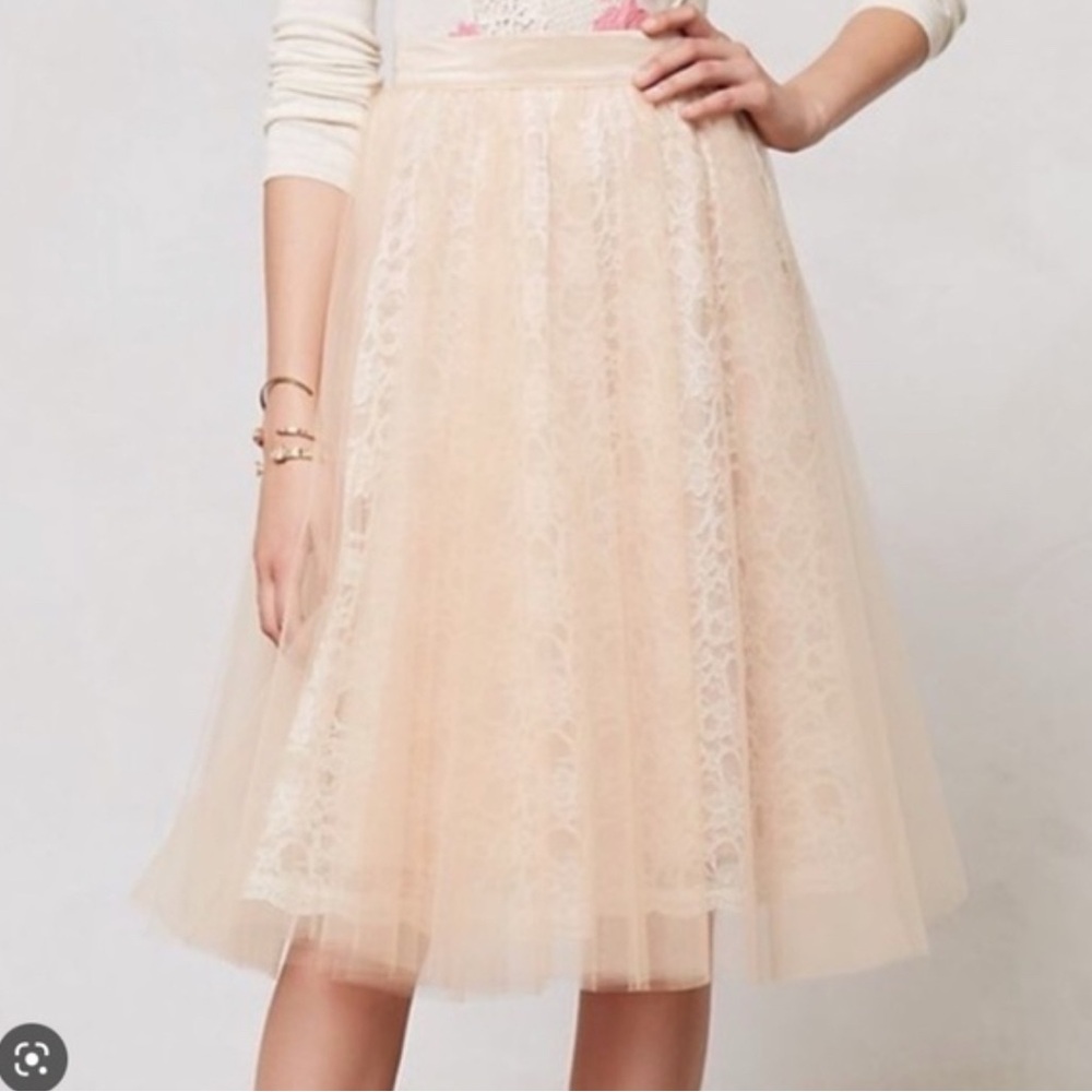 Anthropologie Alexandra Grecco Tulle Skirt - Size 12